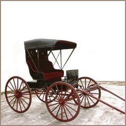 Doctors Buggy
